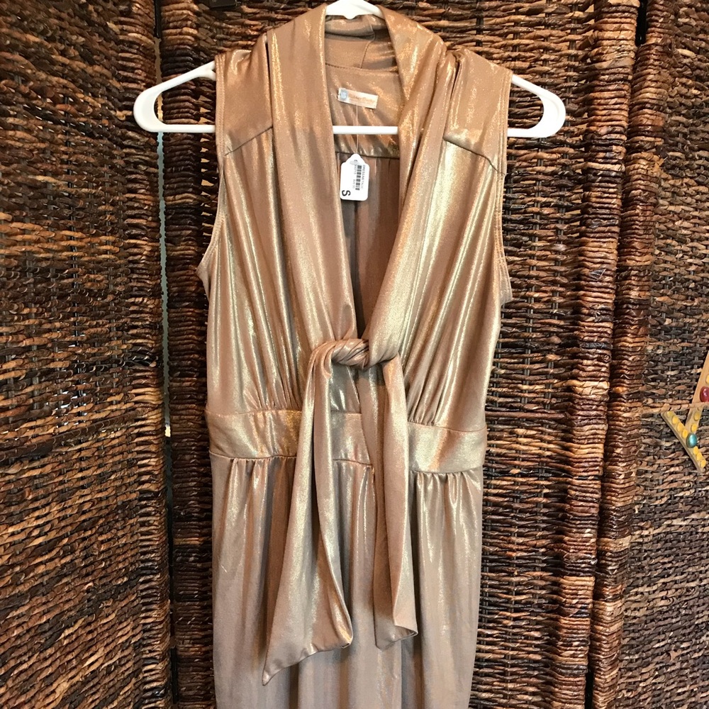 Rubber Ducky Productions, Inc., Gold Lame Dress